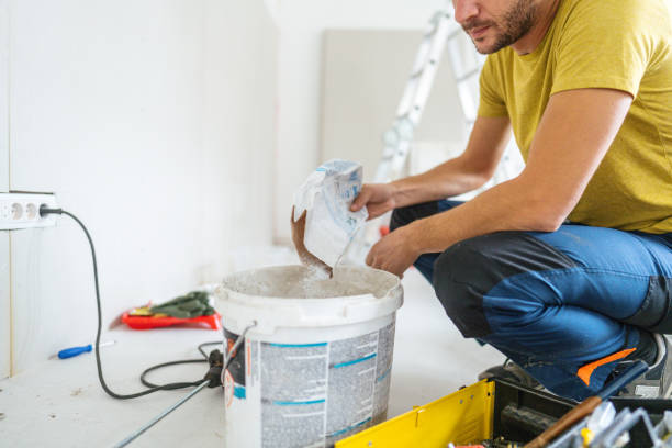 Best Emergency Mold Remediation  in Gary, IN