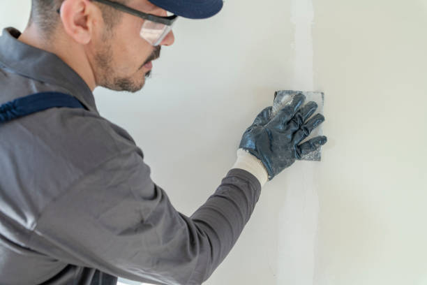 Best Mold Odor Removal Services  in Gary, IN
