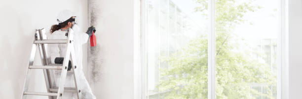Best Air Quality Testing for Mold Spores  in Gary, IN